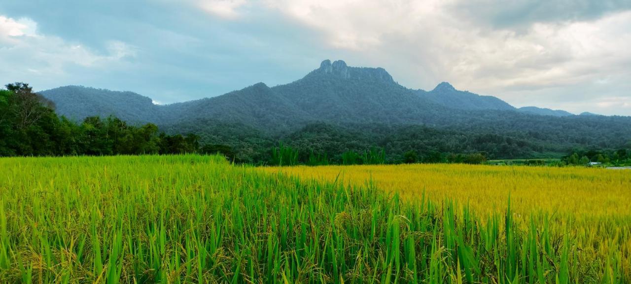 Villa Pimpisa Garden พิมพิศา การ์เด้นท์ Khuang Kom Esterno foto